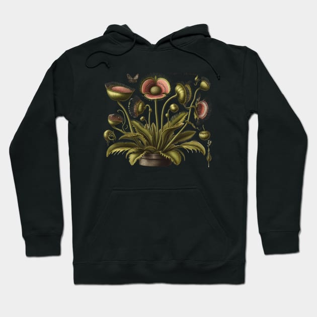 Vintage Venus Flytrap Botanical Hoodie by Nancy 